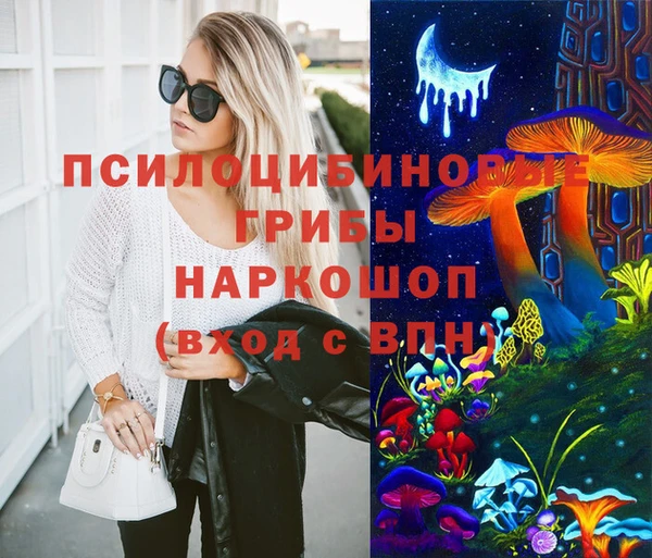 стаф Аркадак