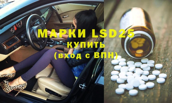 стаф Аркадак