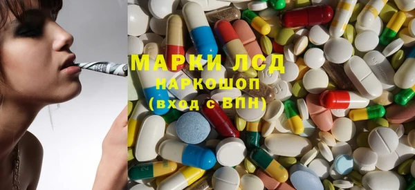 стаф Аркадак