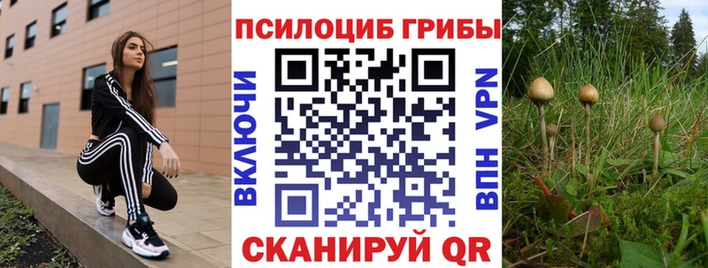 Псилоцибиновые грибы ЛСД  где купить   Оха 